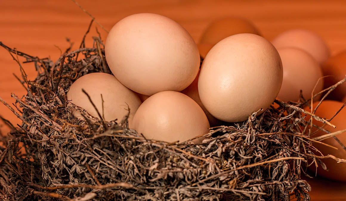 Las 10 claves para no correr riesgos con los huevos