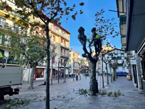 El Ayuntamiento comienza con la poda de árboles de otoño